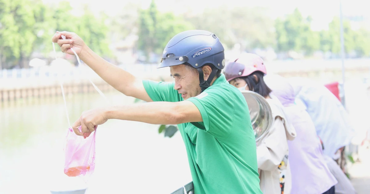 Người dân TPHCM thả cá, phóng sinh chim ngày đưa ông Táo về trời