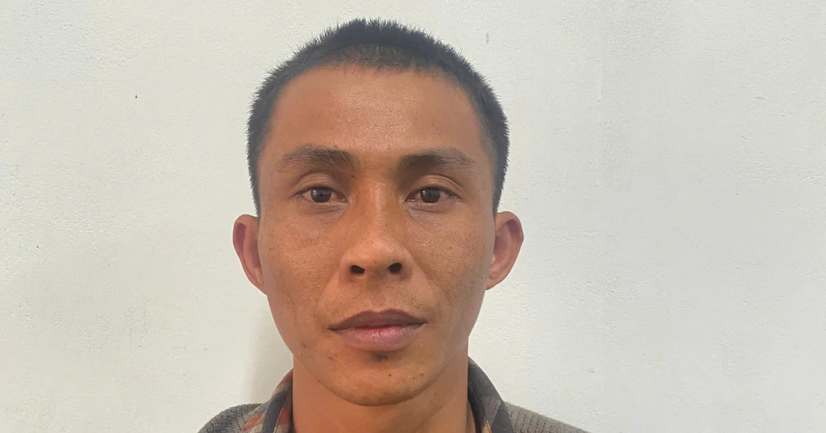 Lừa bán cây cảnh giá rẻ, chiếm đoạt tiền tỷ