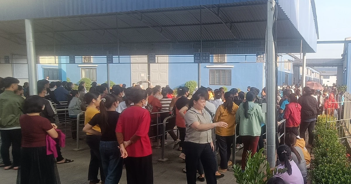 Hàng trăm công nhân công ty may đình công vì quản đốc thường xuyên quát mắng