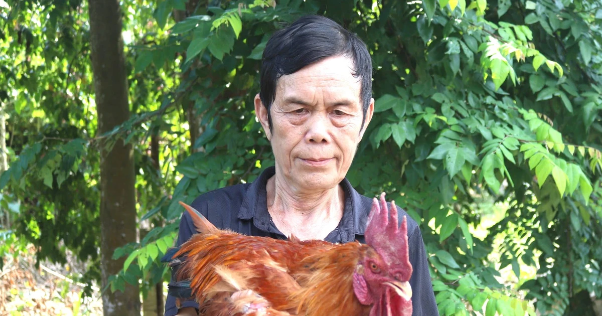 Tấm gương trong phong trào giảm nghèo bền vững ở Tuyên Quang