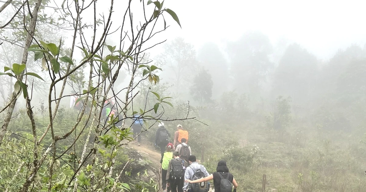 Lào Cai tạm dừng hoạt động ngoài trời, leo núi để ứng phó bão số 3