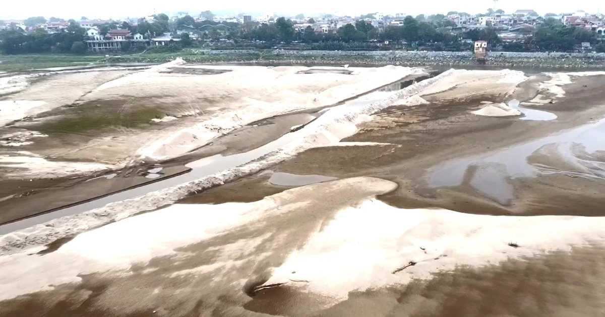 Sông Thao cạn trơ đáy