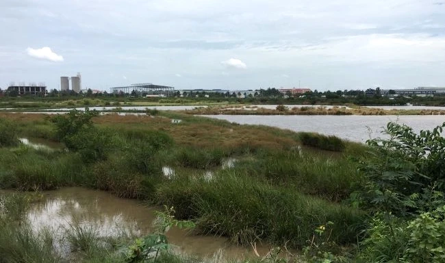 Hơn 2.000 ha đất bị loại khỏi danh sách thí điểm làm nhà ở thương mại