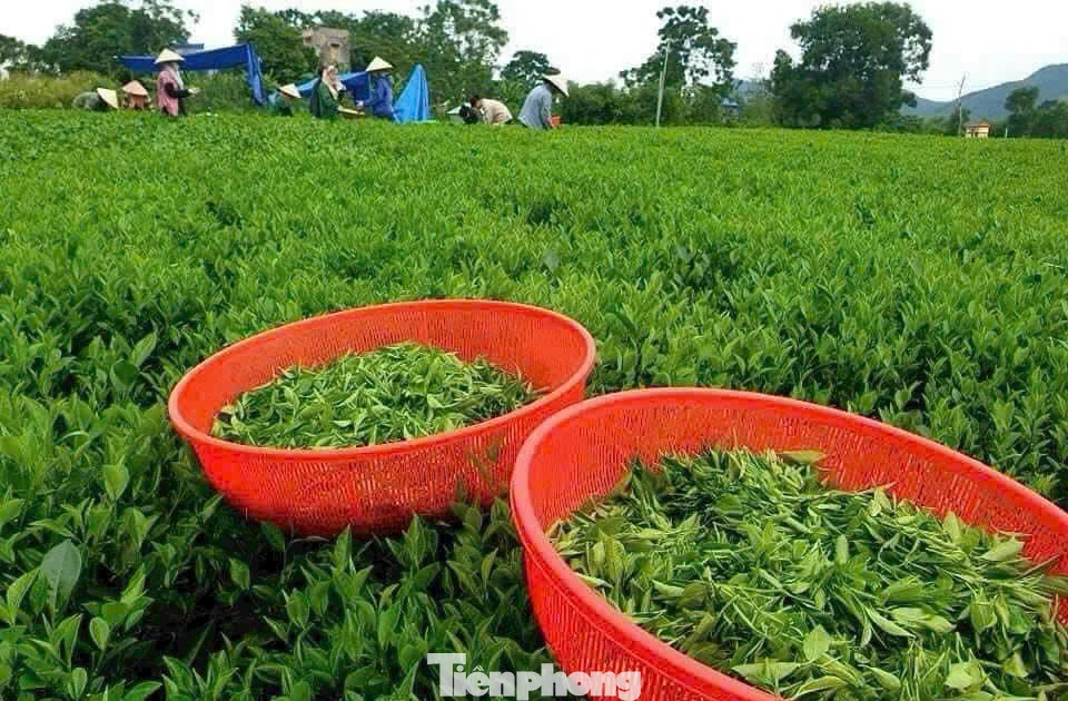 Doanh nghiệp nhỏ cần vốn rẻ nhưng trước hết phải vay được vốn
