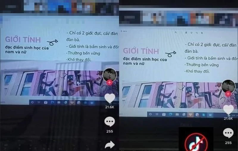 hoahoctro.tienphong.vn