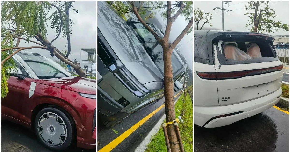 Nhà máy ô tô dính bão, xe hỏng được sửa rồi bán giá rẻ