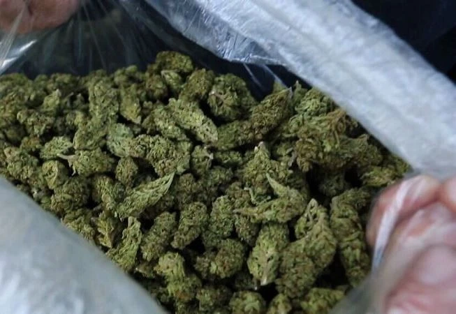 'Cô tiên thơm' ổ nhóm bán cần sa qua mạng lớn nhất từ trước tới nay bị bóc gỡ