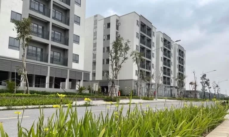 Mở bán hàng trăm căn nhà ở xã hội giá dưới 1 tỷ đồng tại Hà Nội