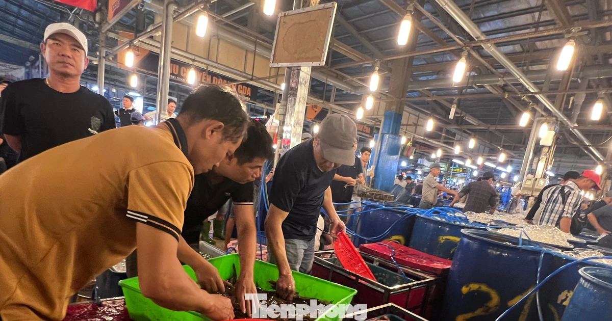 Lạc lối ở chợ đầu mối, săn sản vật 'ngon, size khủng' với giá rẻ không tưởng về ăn Tết