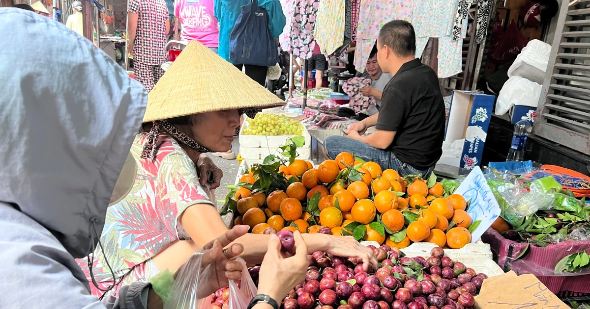 Mận hậu đại hạ giá vẫn thưa khách ở TPHCM