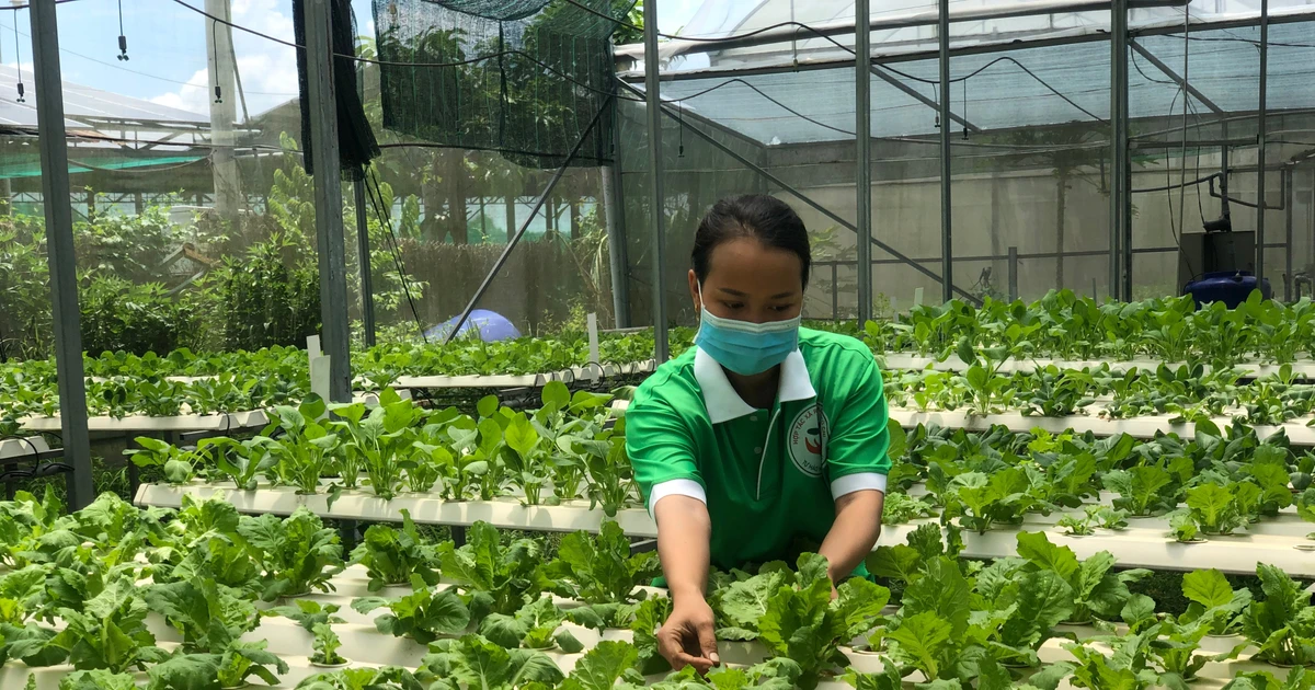 Nguyên nhân doanh nghiệp ngại 'rót' vốn, công nghệ vào nông nghiệp