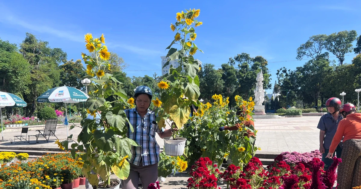 Người dân TPHCM mua hoa sớm, tiểu thương bán hết hàng trước cao điểm