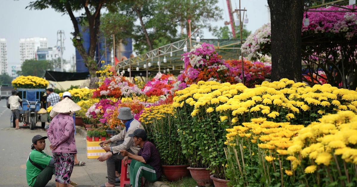 Buồn 'phát khóc' giữa bạt ngàn hoa Tết ở TPHCM