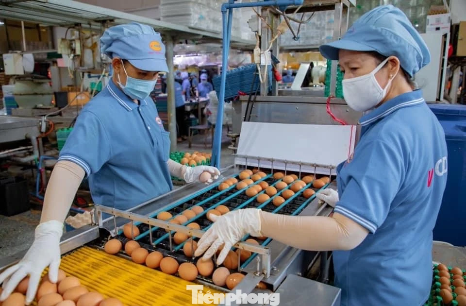Doanh nghiệp lao đao vì lãi vay neo cao