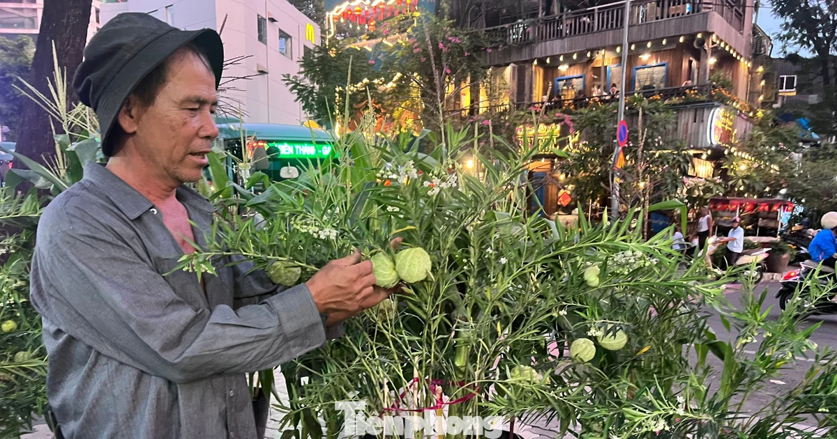 Rau trái thành kiểng Tết hút khách