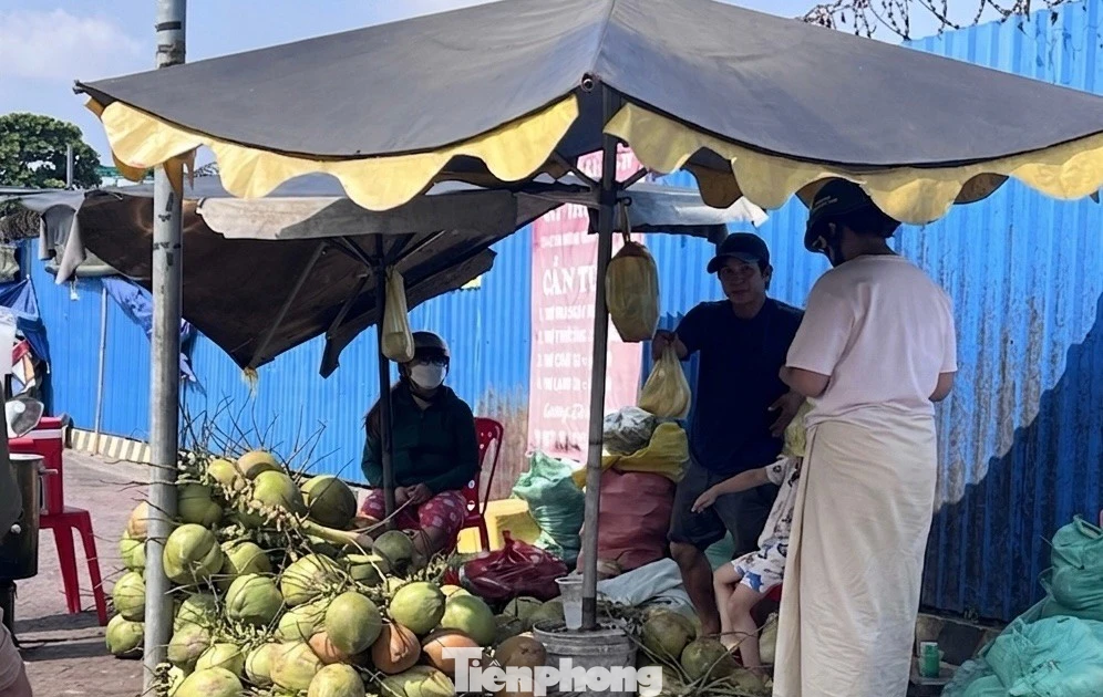 Giá dừa tăng mạnh nhưng... đừng vội mừng