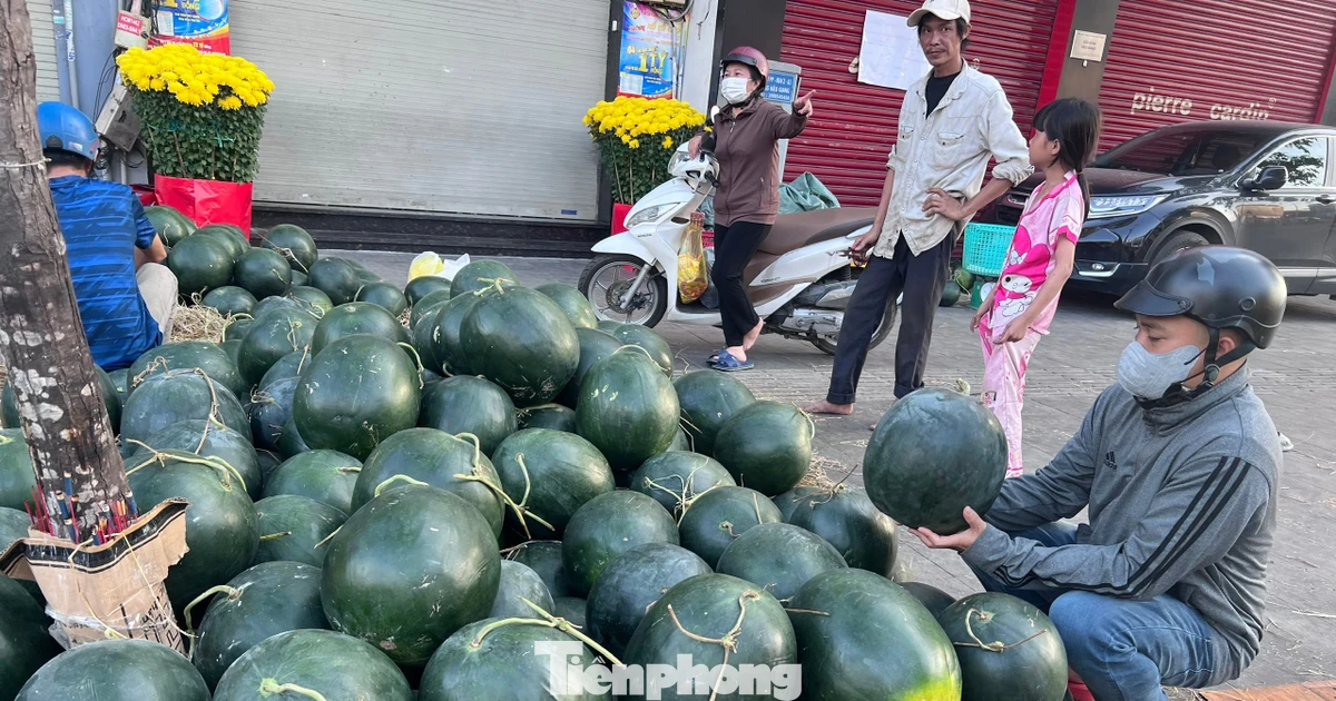Giá dưa hấu Tết 'rơi tự do' 5.000 đồng/kg