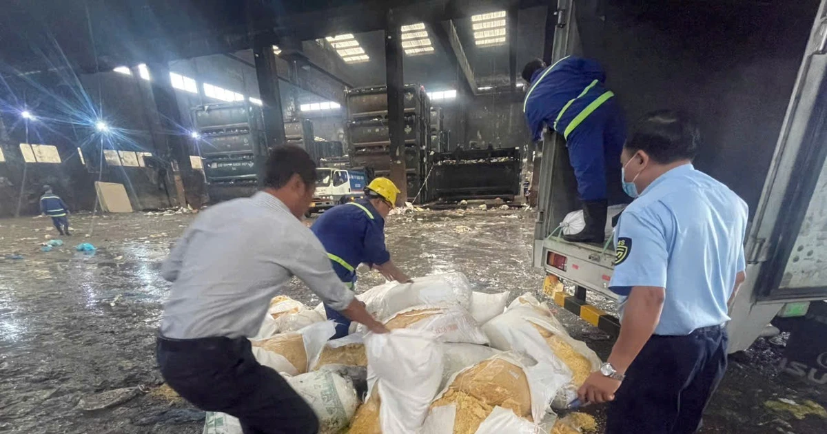 Heo, gà chết đua nhau 'chạy' ra thị trường, cùng lúc có 3 nhà chức trách mới xử lý được