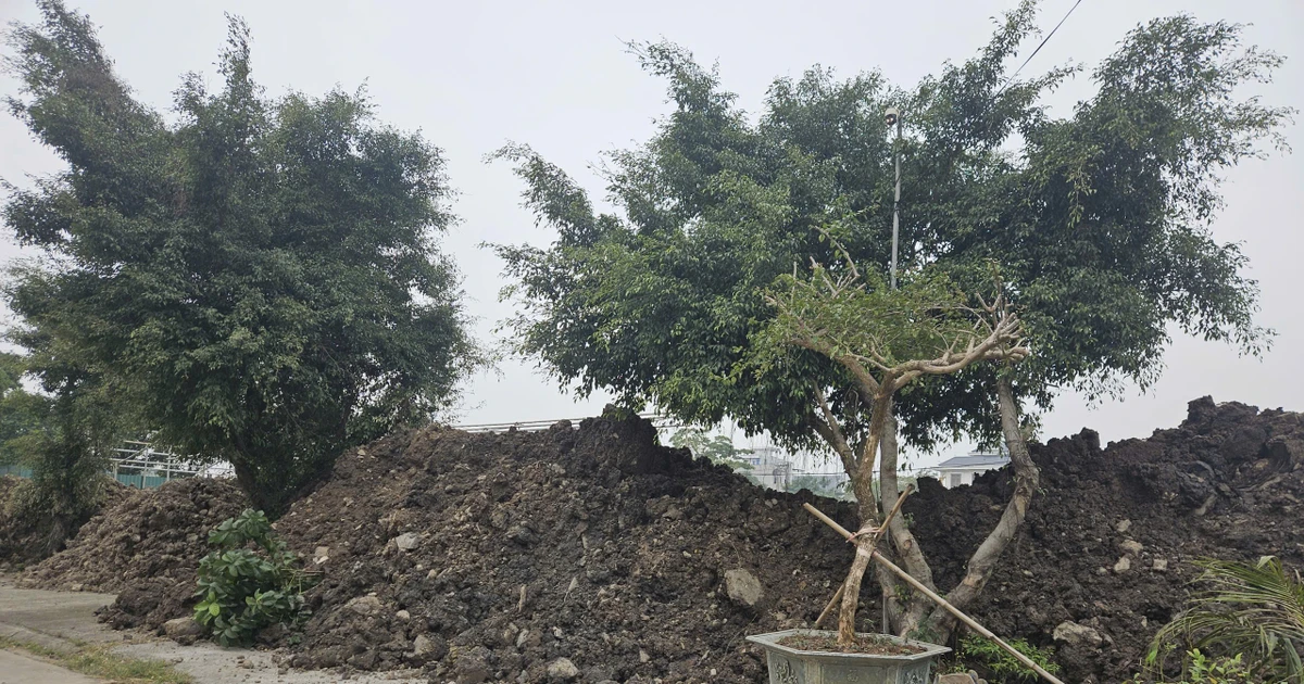 Dân khổ vì doanh nghiệp xây trường học 'biến' vỉa hè thành bãi rác