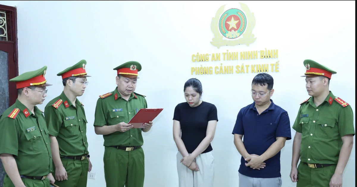 Lãnh đạo, nhân viên công ty đấu giá dàn xếp, làm giả giấy tờ nhiều phiên đấu giá đất