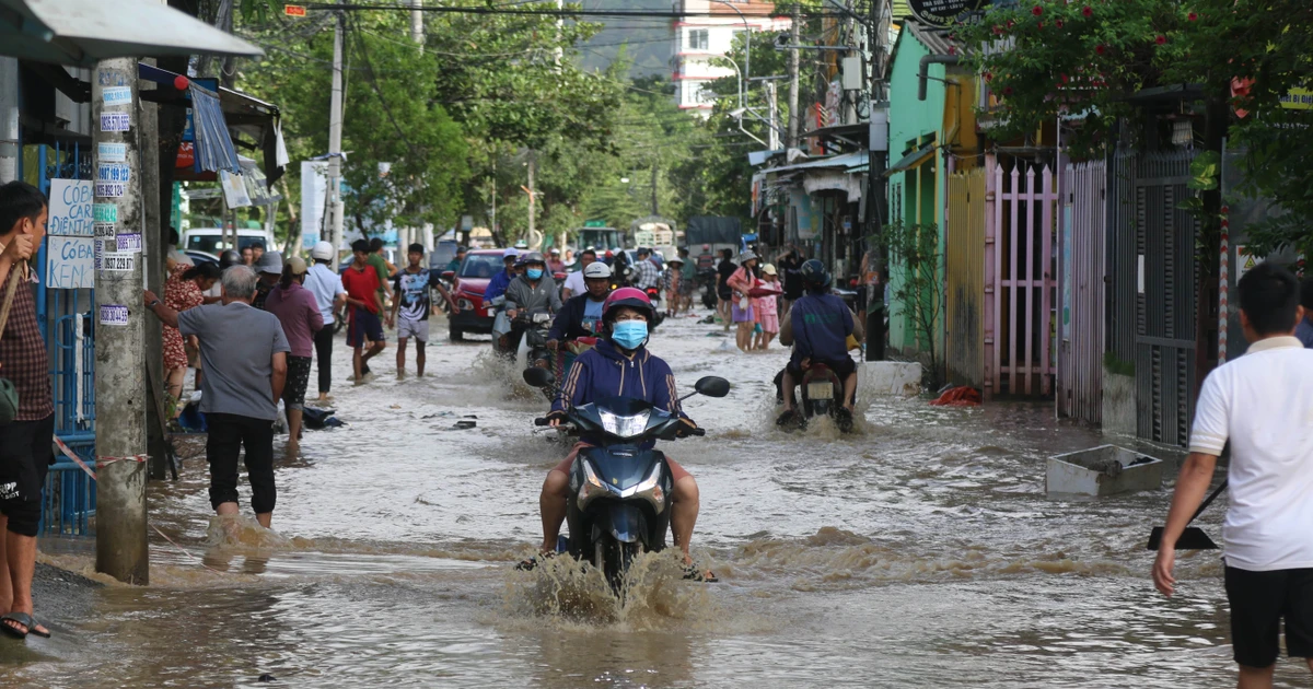 Nước sông Cái dâng cao, người dân Khánh Hòa chống chọi đợt ngập mới