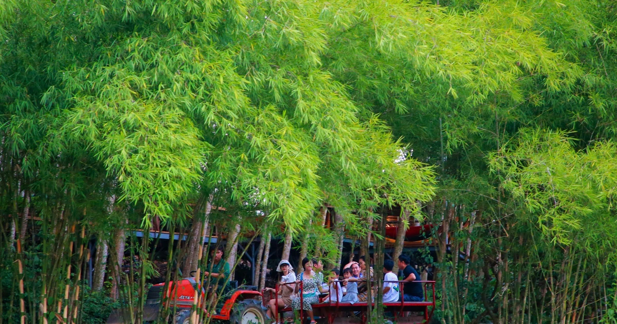 Chiến lược 'xanh hóa' mở đường cho du lịch Khánh Hòa phát triển bền vững - Báo điện tử Tiền Phong