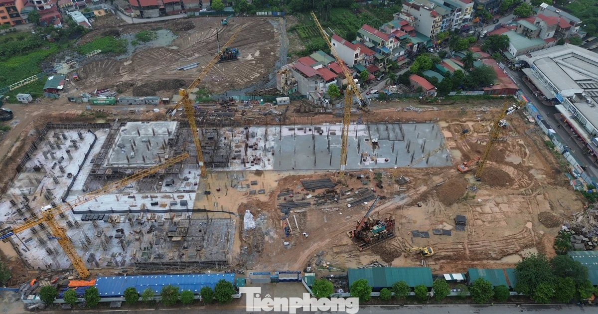 tienphong.vn