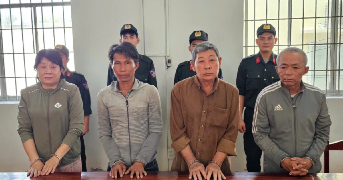 Bắt nhóm 'phù phép' đất rừng lừa đảo gần 20 tỷ đồng