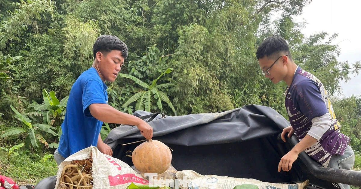 Nhóm bạn trẻ vượt núi chở nông sản vùng cao về phố, khách liên tục 'chốt đơn'
