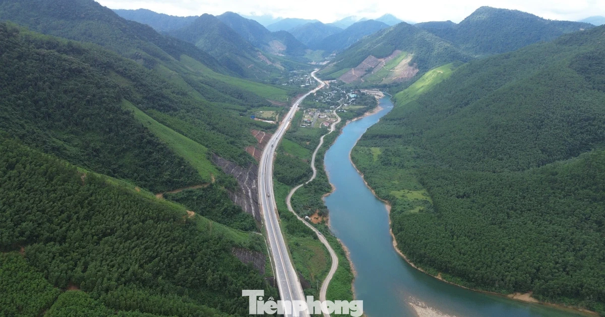 Sau sáp nhập, Đà Nẵng rộng cửa bước vào thị trường tín chỉ carbon toàn cầu