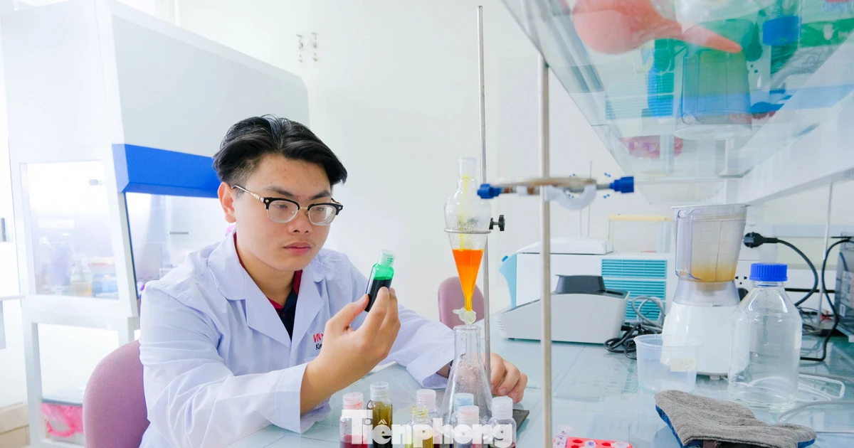 Đà Nẵng đang trở thành 'vườn ươm' khởi nghiệp xanh