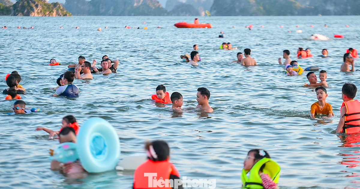 Nô nức đi biển Hạ Long