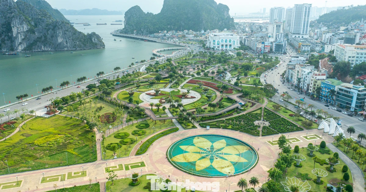 Ngắm lá phổi xanh mướt bên bờ di sản vịnh Hạ Long