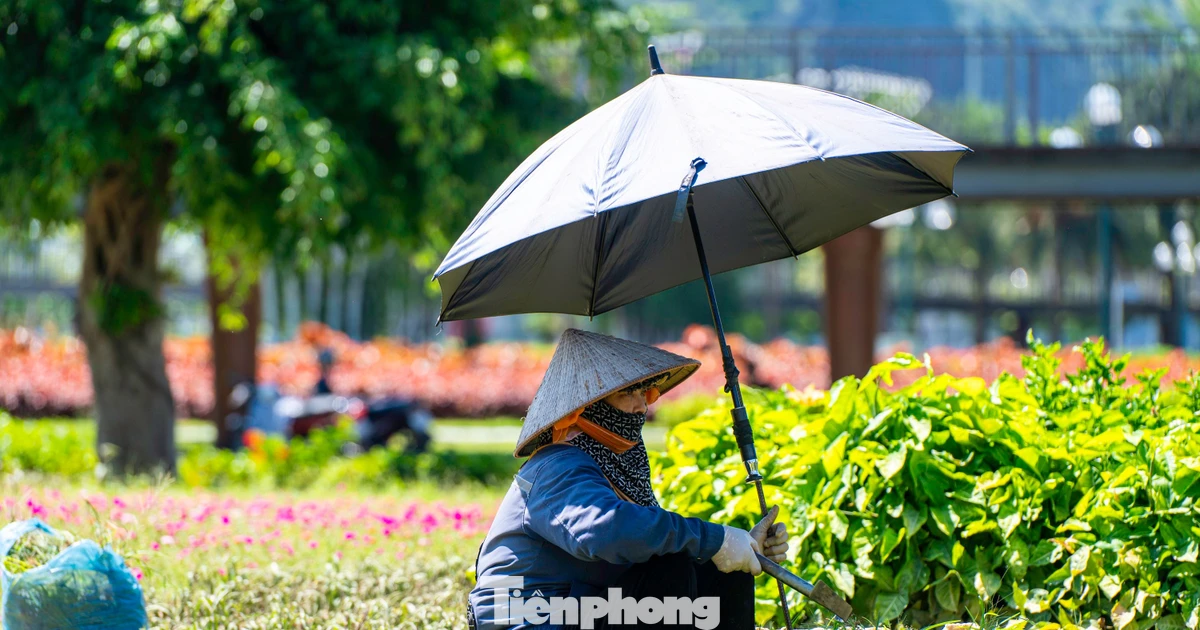Người dân tìm đủ cách đối phó với cái nóng hơn 40 độ