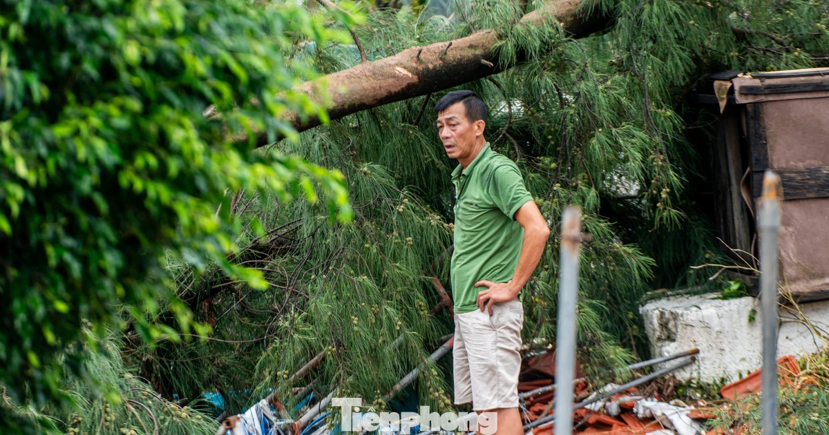 Tan hoang khu du lịch Trà Cổ sau bão