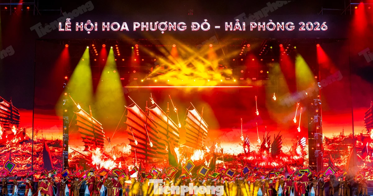 Mãn nhãn khai mạc Lễ hội Hoa Phượng Đỏ 2026