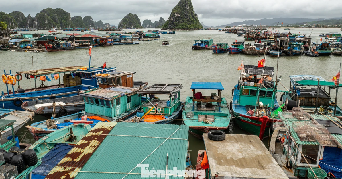 Đưa hơn 3.000 lao động cùng 1.300 tàu cá về bờ tránh bão
