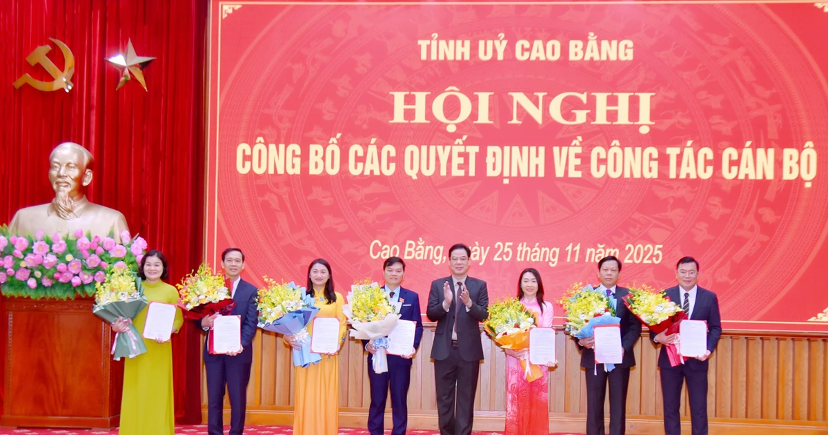 Tỉnh ủy Cao Bằng trao quyết định về công tác cán bộ