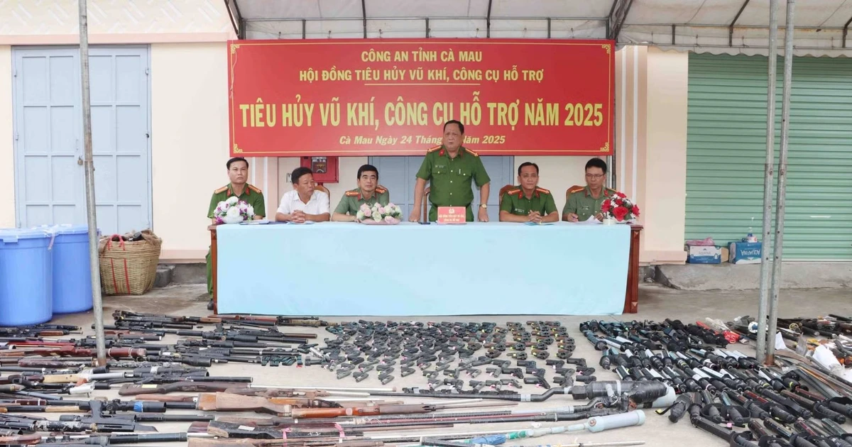 Cà Mau: Thu giữ hơn 120 khẩu súng