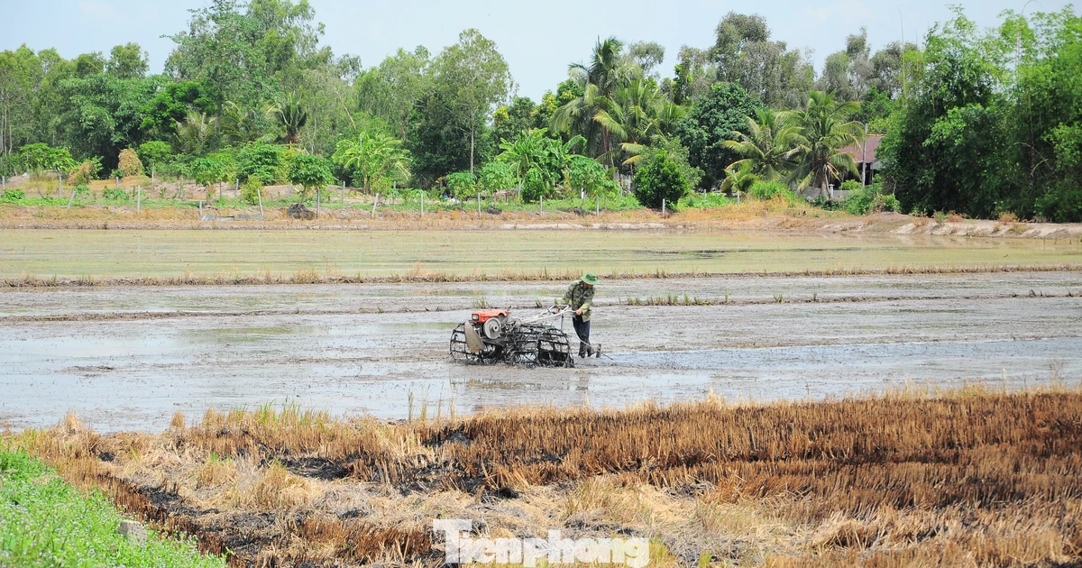 Sức khỏe đất suy yếu, chuyên gia bàn giải pháp cứu Đồng bằng sông Cửu Long