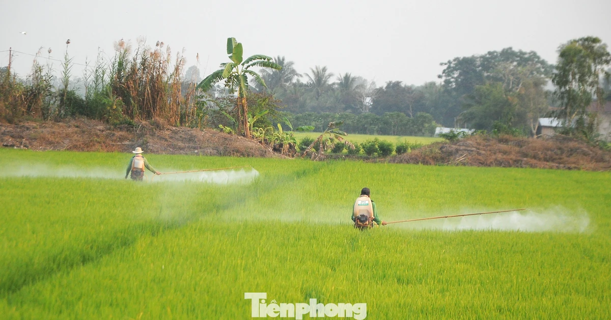 Báo động lạm dụng thuốc hóa học: Chuyên gia kêu gọi giảm hóa chất, tăng sinh học