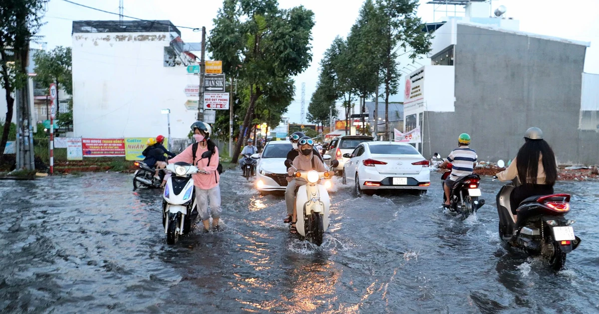 tienphong.vn