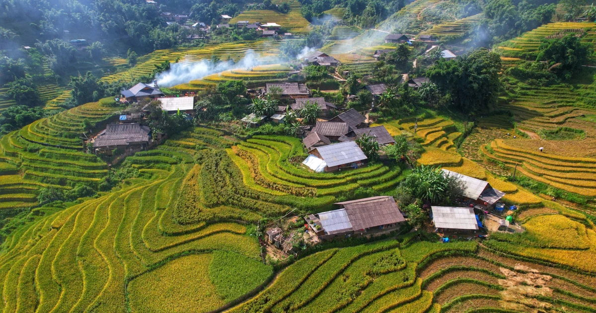 Lúa chín vàng, thơm ngát ở ngôi làng Việt đẹp nhất châu Á