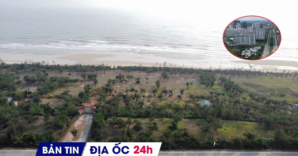Địa ốc 24H: Doanh nghiệp BĐS giải thể tăng gấp đôi; : Ôm 'đất vàng’ ven biển bỏ hoang nhiều năm