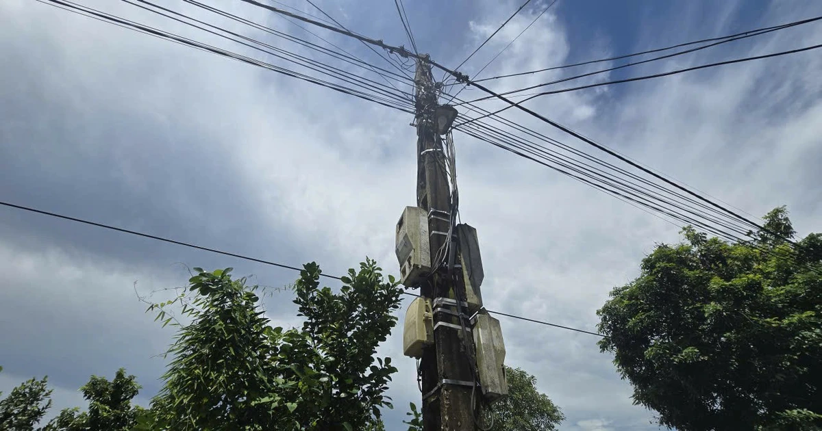 Điện lực nói gì vụ hóa đơn tiền điện hơn 12 triệu đồng của cụ bà ở Ninh Bình?  | Báo điện tử Tiền Phong