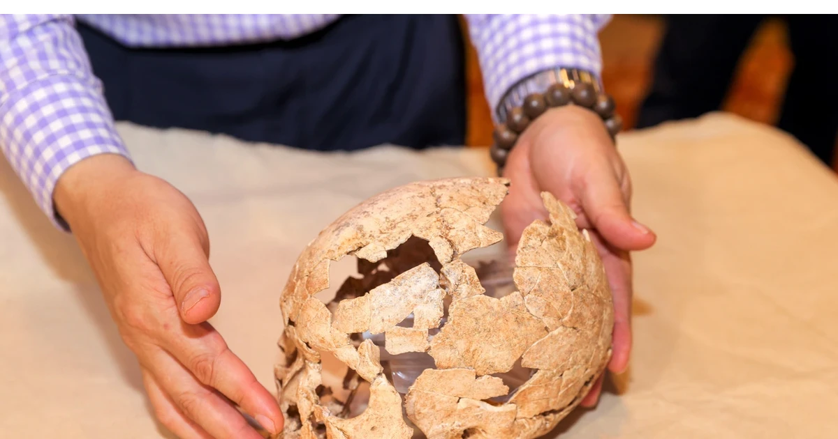 Dấu vết mũi lao định mệnh trên xương cổ ‘chiến binh’ Tràng An 13.000 năm tuổi