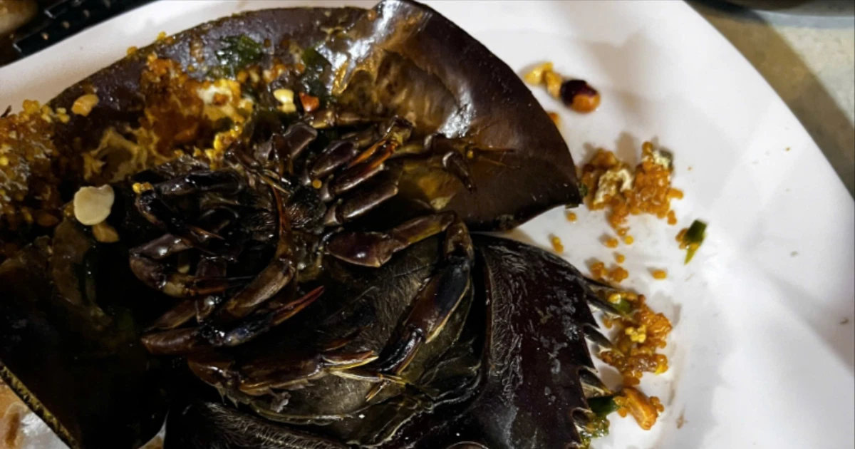 3 người bị nhiễm độc sau khi ăn sam tại quán ốc ở Cà Mau