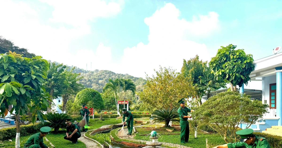 Xuân ấm từ những vườn rau người lính giữa trùng khơi