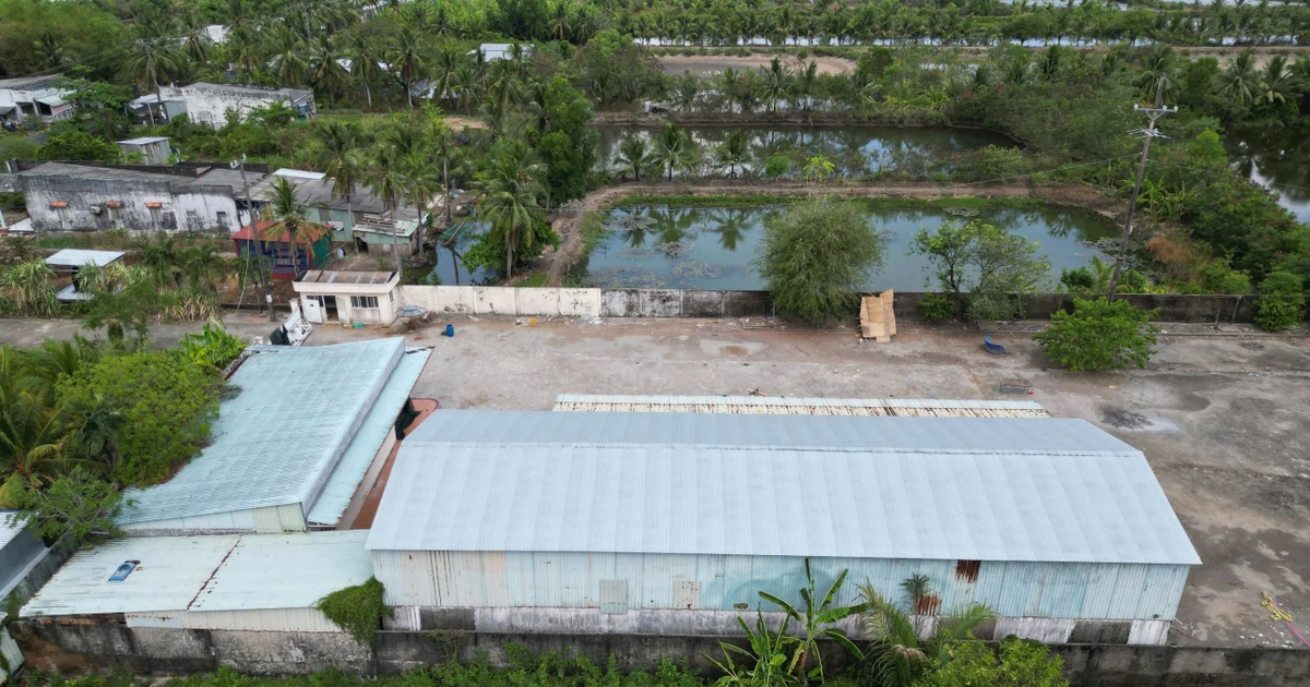 Vụ chủ đất kiện chủ nhà ở Cà Mau: Huỷ quyền sử dụng đất của người mua vì không xem trước thực địa
