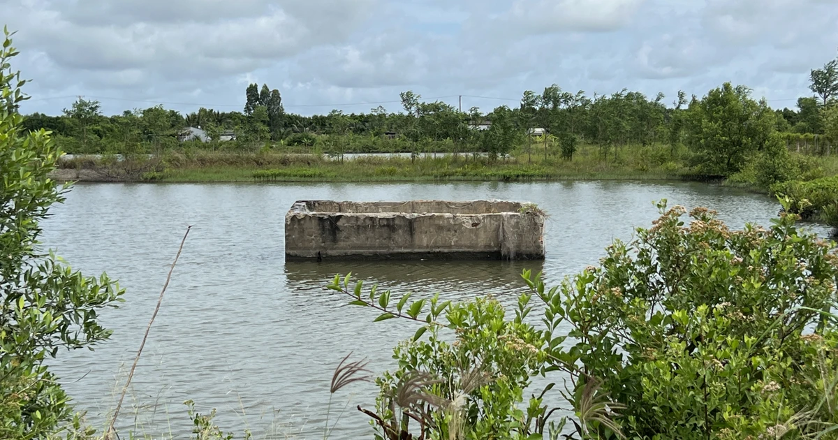 Mô hình ‘Ngân hàng đất’ chưa có tiền lệ ở Cà Mau bị thất bại